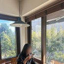 논실카 이미지