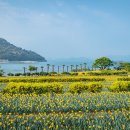 공곶이펜션 이미지