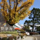 연천군치매안심센터 이미지