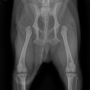 당감동물병원 이미지