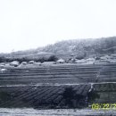 농산물 소개소 이미지