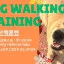 902댕스쿨 이미지