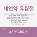 법인백성 이미지