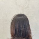 디펠헤어