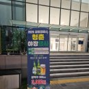 세종 청춘야장 축제 집현동 다녀온 후기