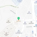 펄디스트릭플라워 이미지