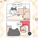 오일박사 | 🧆 두쫀쿠 박사과정 도전기🧆