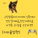 전산세무회계1급(저녁) 이미지