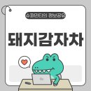 돼지와 건강 이미지