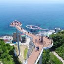 동해-단속-29 노컷뉴스
