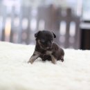 구월2동-16 이미지