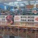 싱싱푸드