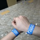 여수교육지원청(본관) | 전남 여수 가볼만한곳 유월드 루지 테마파크 슈퍼패스 후기(롤글라이더, 루지, 레이저 아레나)