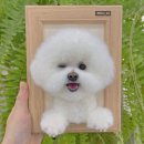 94 | [양모펠트 강아지 액자 주문제작 후기] 94 그리고 초록