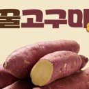 분이농장