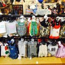 다온애견샵 이미지