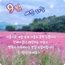 9월의 첫날 그대의 행복을 빕니다. 이미지