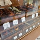 봉곡남로-15 이미지