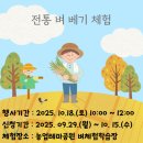 전라남도 농업박물관(테마공원) | (10.18, 토) 전라남도농업박물관: 전통 벼 베기 체험(농업테마공원 벼체험학습장)