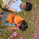 광주도자기엑스포장 이미지