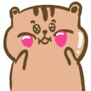 제주이와이