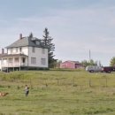 다Dog다Dog 이미지