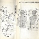 고서경맥도 10 수소양 삼초경 좌우합46혈 이미지