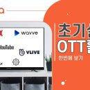브이웨이브