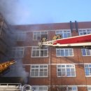 강남초등학교 이미지