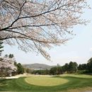 남서울CC 네이버블로그
