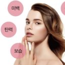 춘천순환로94번길 이미지