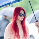 빨간머리 Daum카페