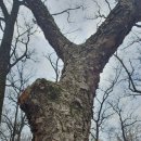 온수근린공원 이미지