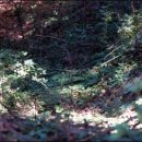 공주-56 이미지