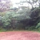 미암농장 이미지