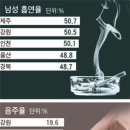 술고래 이미지