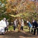 나무에서 이미지