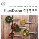 디자인사계 이미지