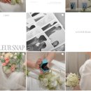 𝜗𝜚 아이폰스냅 비교 최종 3인방 ㅣ 엑셀 비교 공유 (쓰리스냅, 콜바이 스냅, 라플레르 스냅)