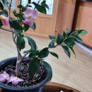 김종희한의원 이미지