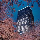 호텔 25시 이미지