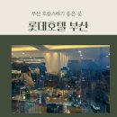 오너스클럽 야외수영장 | [롯데호텔부산]여름휴가, 롯데호텔호캉스, 야외수영장, 클럽라운지후기