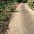 청수1789 이미지