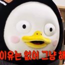 올라라 이미지