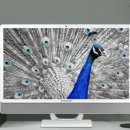 타이거PC 이미지