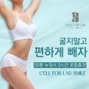 (주)이디피랩 | [공지] 누워서 체지방 2키로 감량 ! 경주 건강 다이어트 전문센터 셀포랩 트렌디점