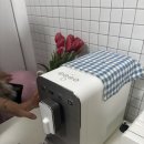 도브민박 | 프라하 숙소 추천/프라하 한인민막 [도브리프라하]