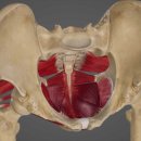 단전호흡 이미지