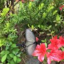 오일월드주유소 이미지