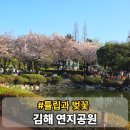 동래역환승센터화장실 | 김해 연지공원 튤립 벚꽃 개화 같이 볼 수 있는 곳 데이트 방문 후기